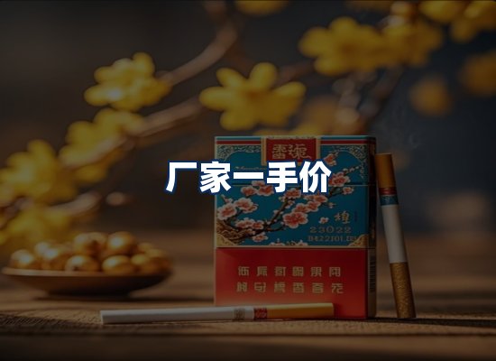 专业团队办公环境